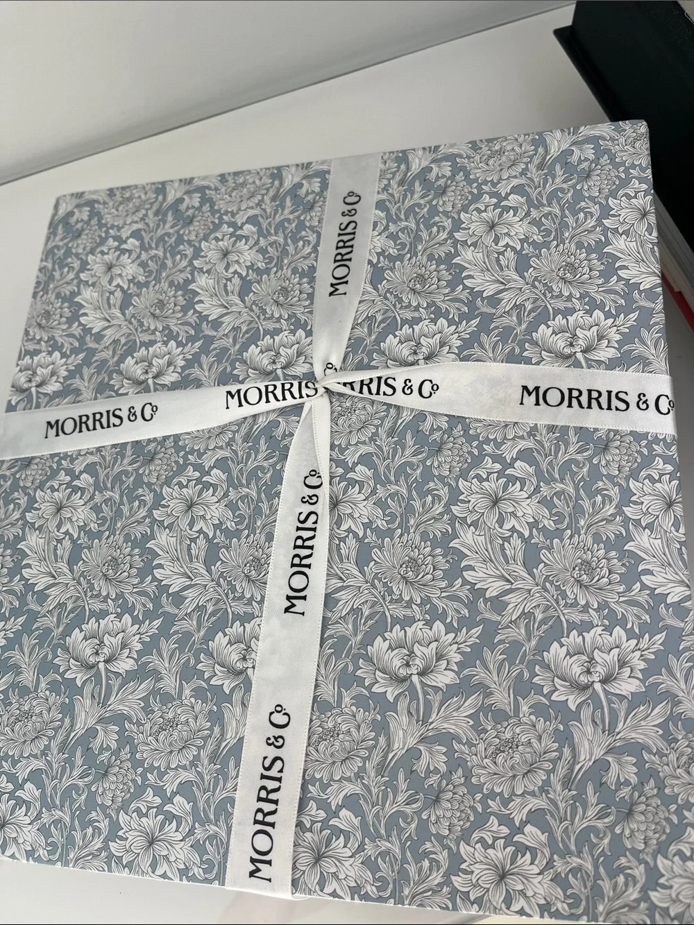 Morris & Co. 2-piece Set Hand Soap and Guest Towels Light Blue Floral Print New